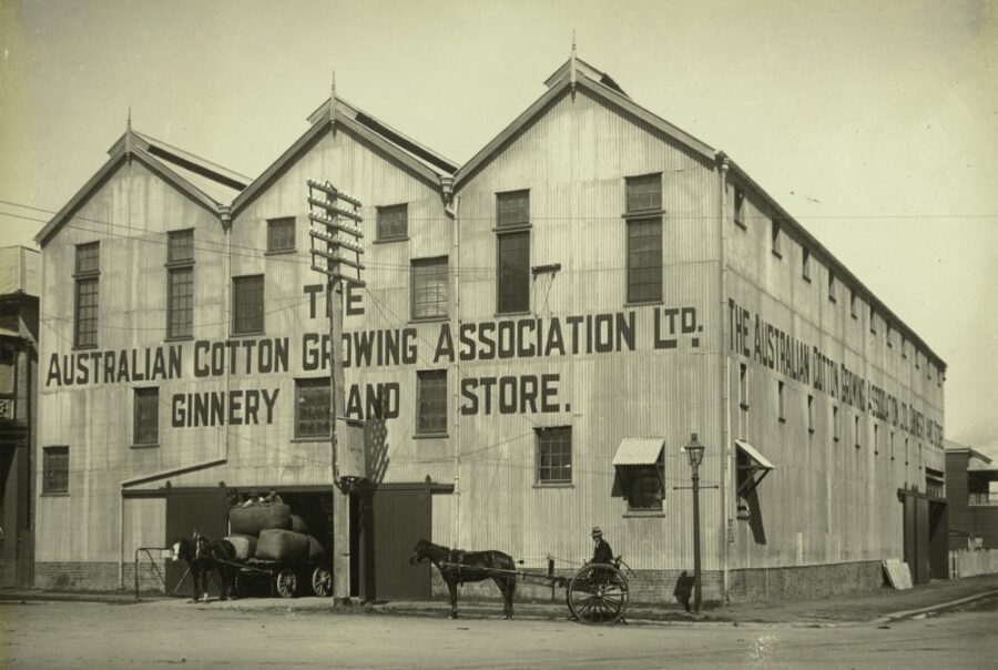 Queensland Cotton