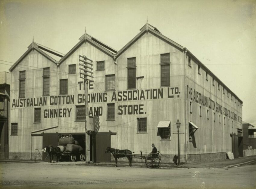 Queensland Cotton 100 Years