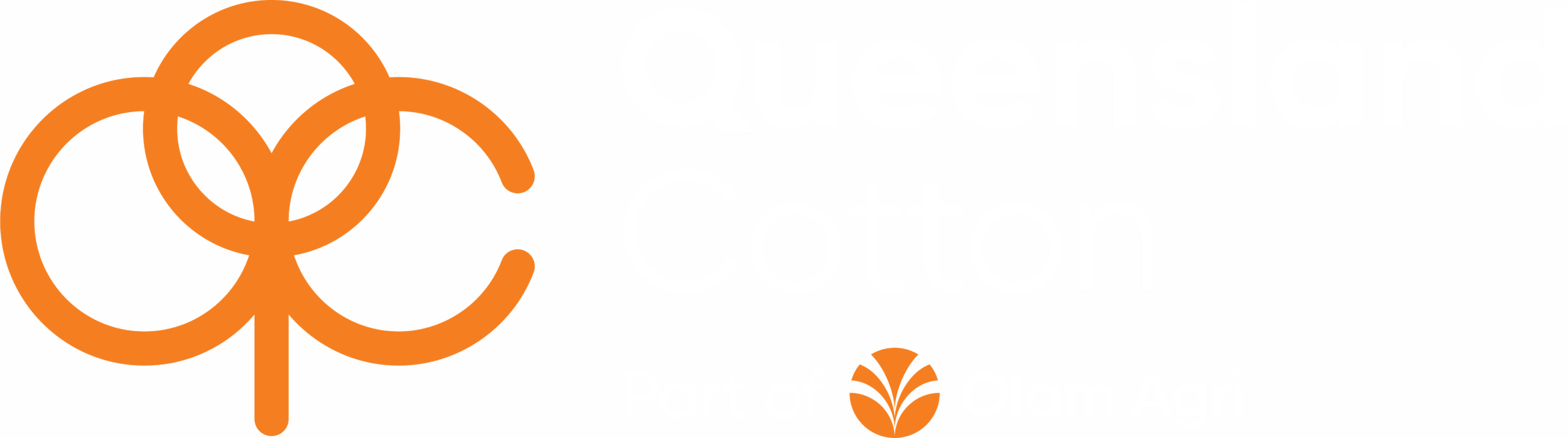 Queensland Cotton