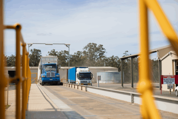 Screenshot 2025-10-23 120941