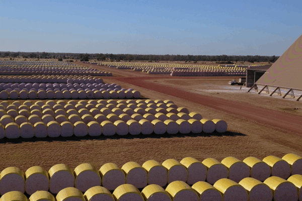 Screenshot 2025-10-24 132620