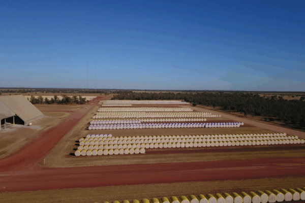 Screenshot 2025-10-24 132746